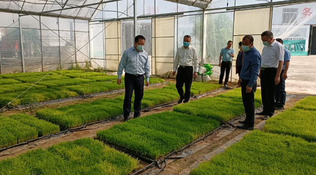 陈明旺厅长深入龙岩调研农业农村工作