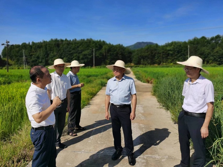 袁忠贤副厅长赴南平调研农业农村工作