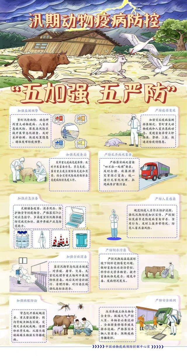 汛期动物疫病.jpg