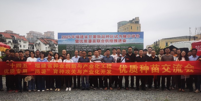 2025年福建省甘薯品种区试与展示评价暨优质薯苗联合供给推进会在莆田举办