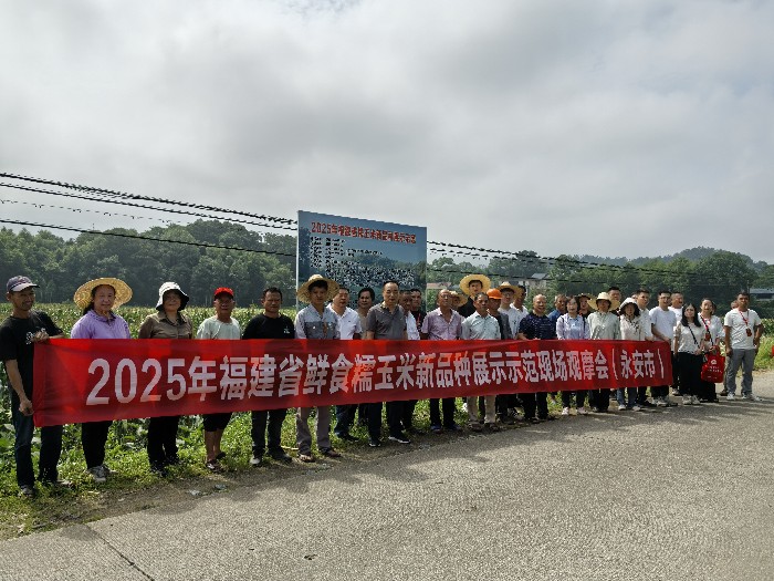 永安市举办鲜食糯玉米新品种展示示范现场观摩及食味鉴评活动