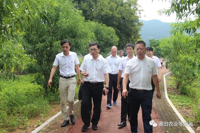 莆田市农业农村局局长林超雄带队调研挂钩共建村